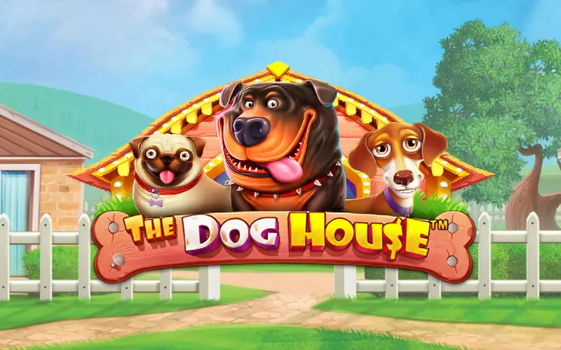 Jouez à The Dog House et profitez des fonctionnalités amusantes de LocoWin.